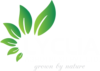 Lyclia
